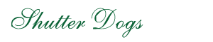 Shutter Dogs, a Selection of hand forged and historic exterior shutter hardware.