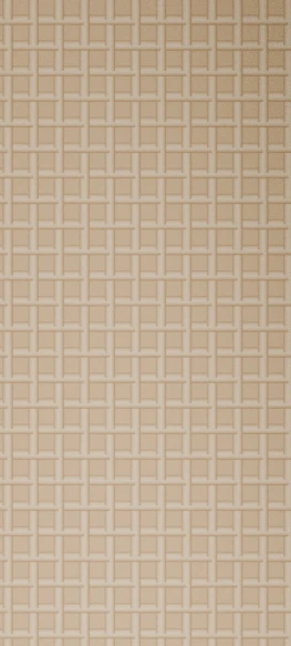 Cherry Rattan Door