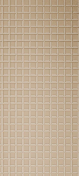 Maple Rattan Door