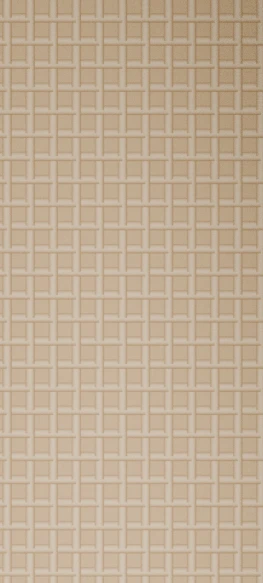 Poplar Rattan Door