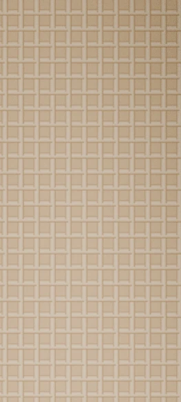 Sapele Rattan Door