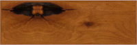Bullnose