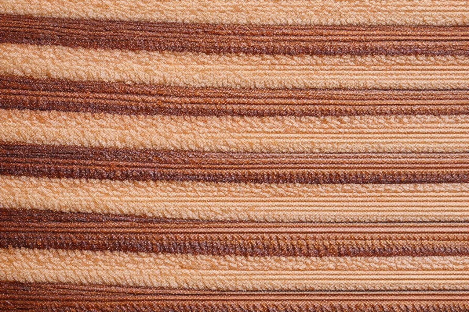End-grain close-up of a cut Douglas Fir log showing strong earlywood/latewood contrast and reddish-tan heartwood