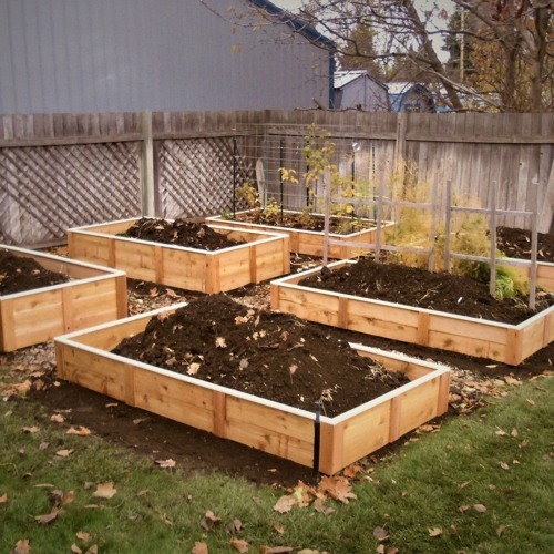 Composted Raised Garden Beds Prepping for Spring