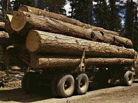 Lumber Truck