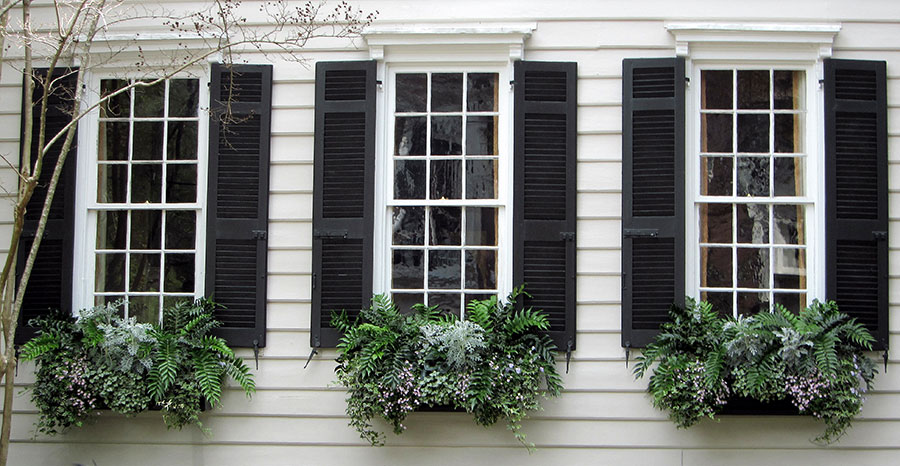 Outdoor Wooden Louvered Shutters