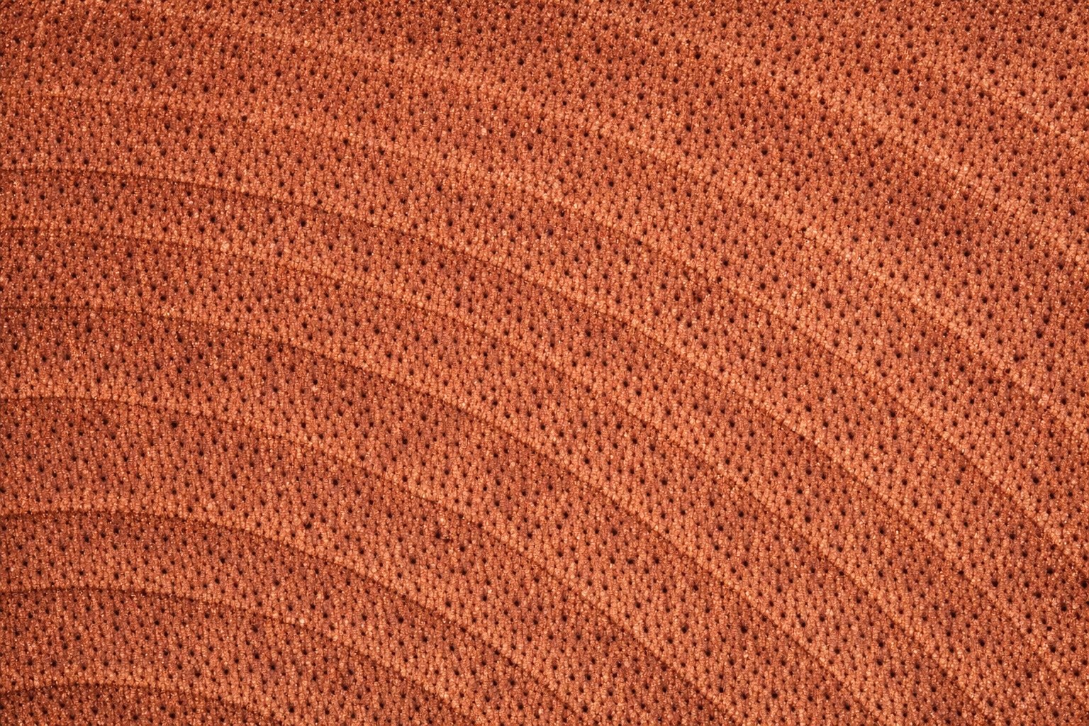End-grain close-up of a cut Sapele log showing interlocked ribbon grain and reddish-brown color