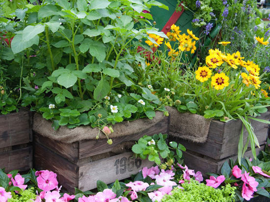 Spring Wood Garden Planter