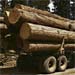 Lumber Truck